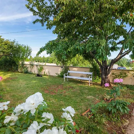 Charming House With Beautiful Garden And Grill